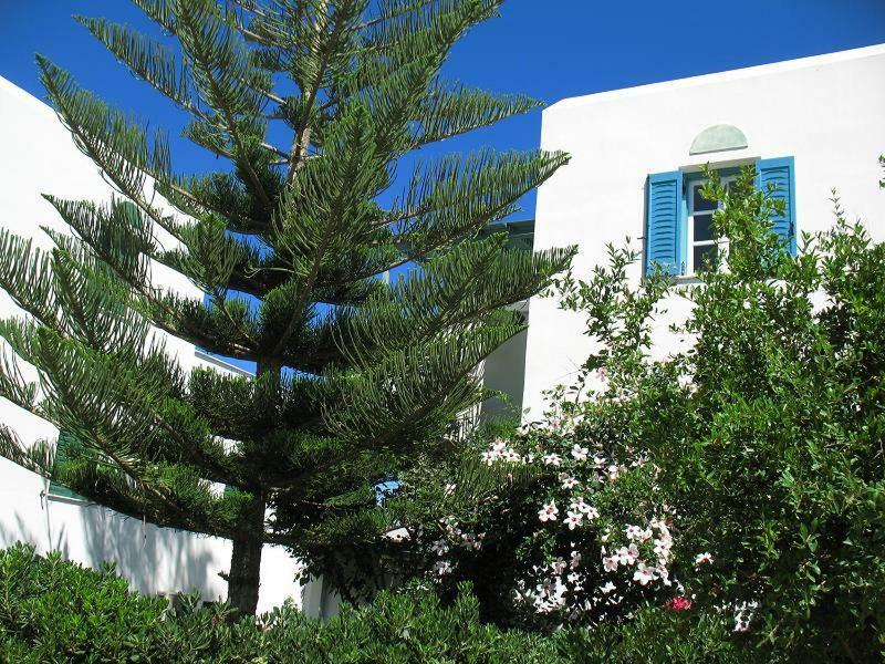 Hotel Kapari Agia Anna  Eksteriør billede